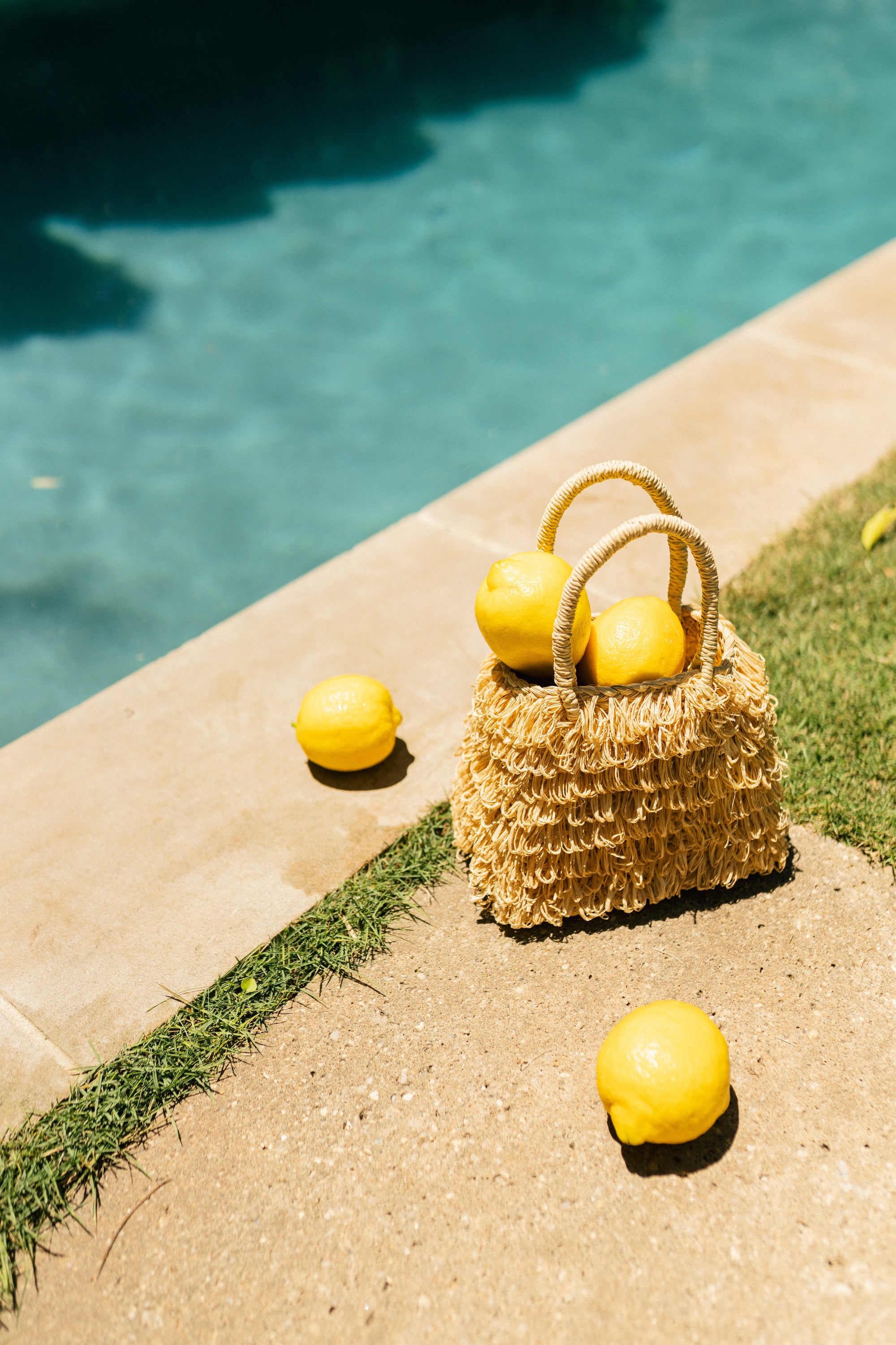 Wanda Loop Tote