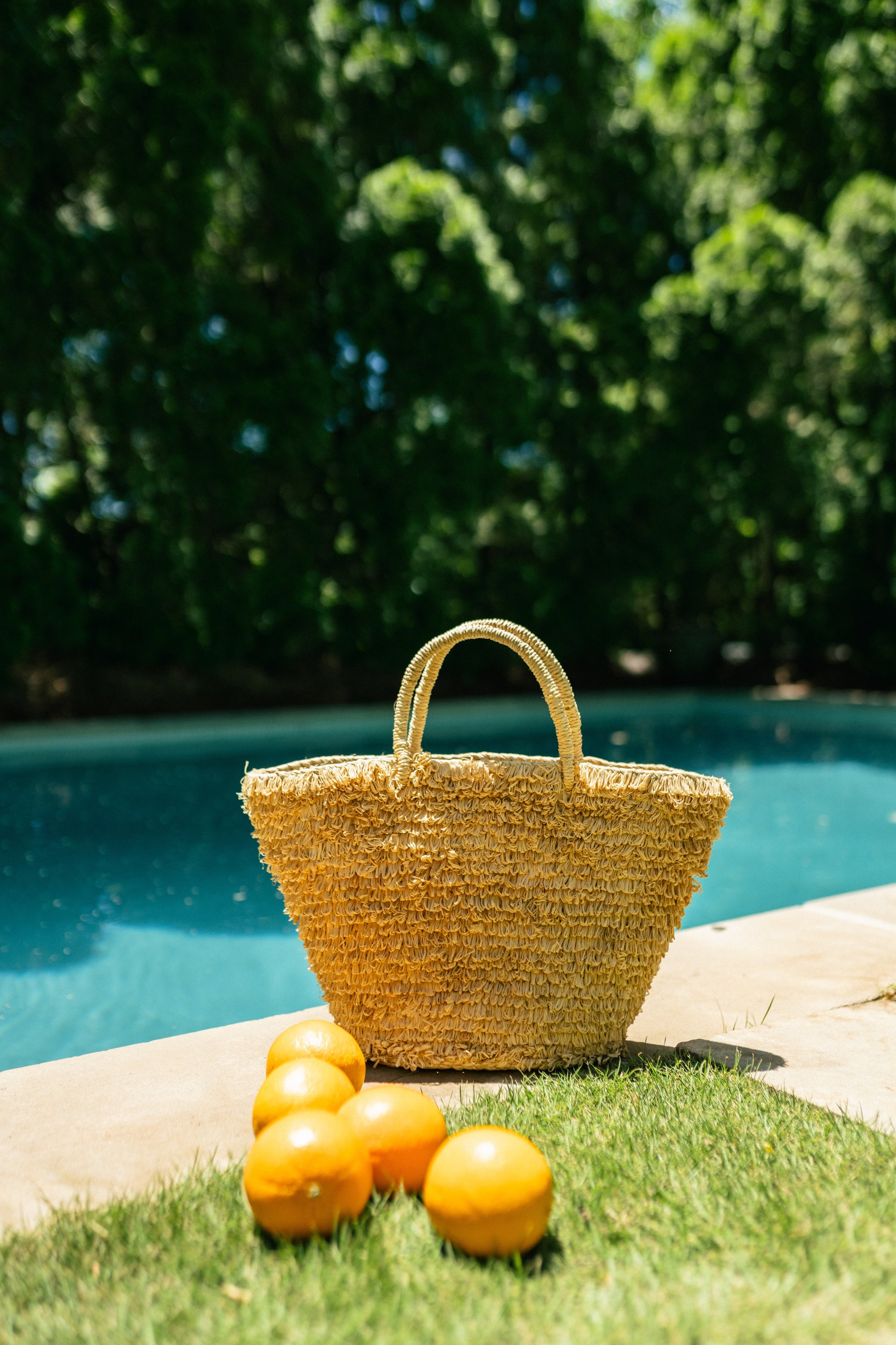 Gemini Tote