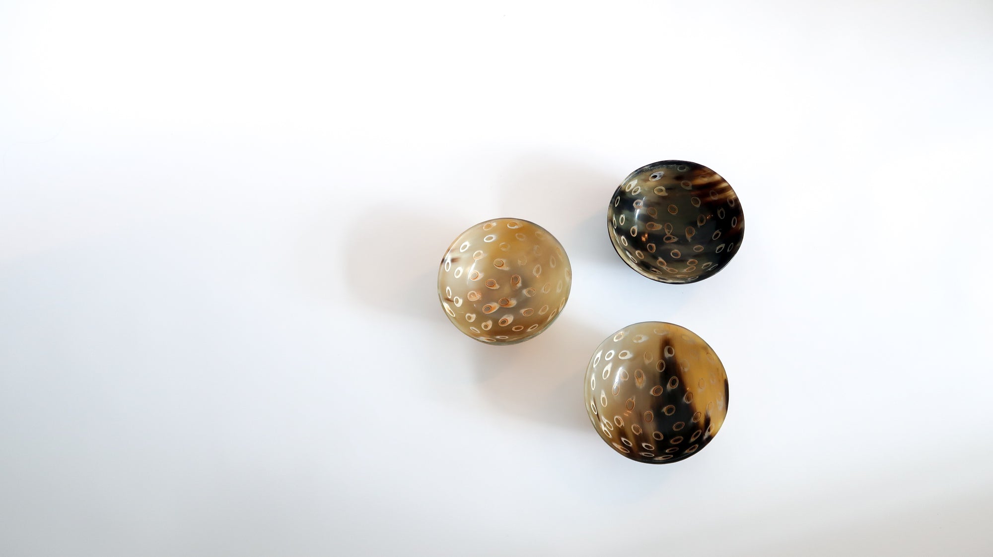 Medium Peacock Horn Bowl