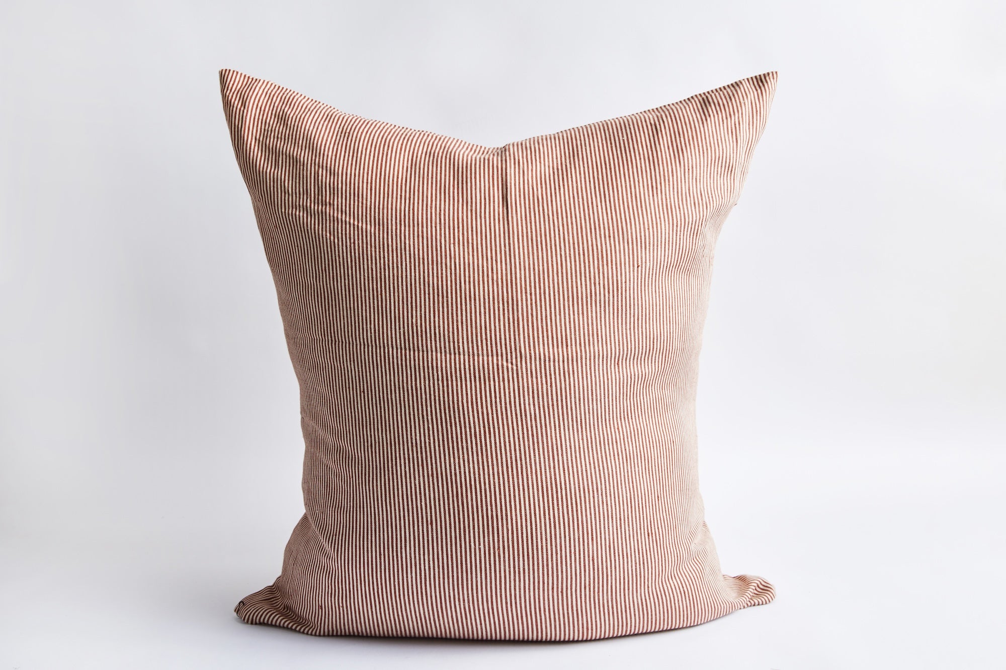 Swimmers Stripe Euro Sham