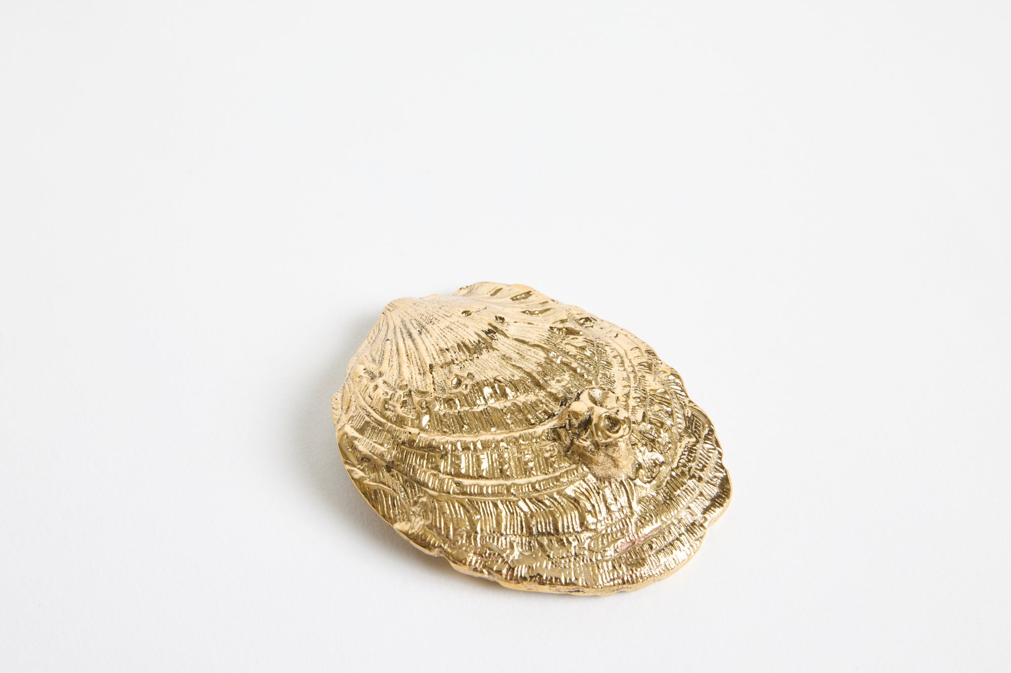 Barnacle Salt Dish