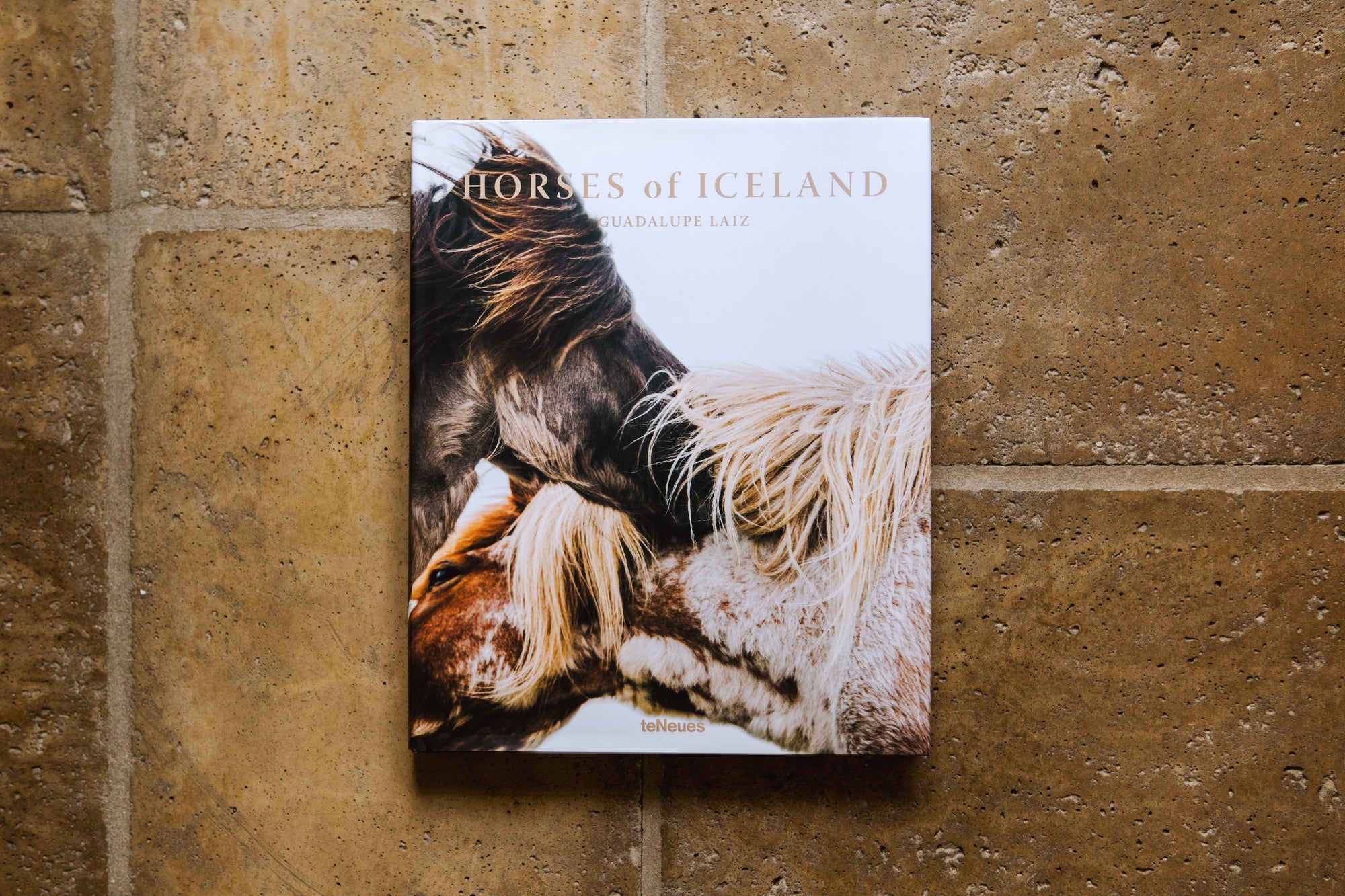 Horses of Iceland